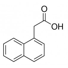 Ácido 1-Naftaleno Acético 1000 g | Neon Comercial 4567